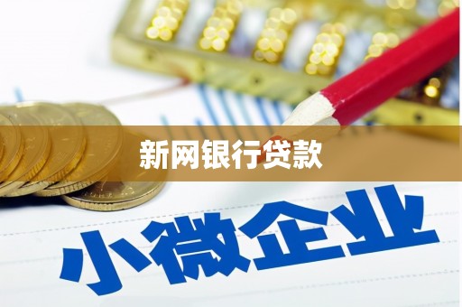 王益新网银行贷款