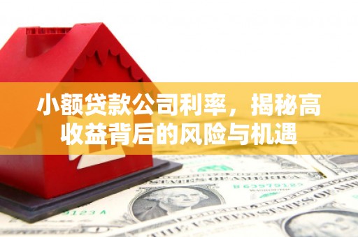 兰西小额贷款公司利率，揭秘高收益背后的风险与机遇