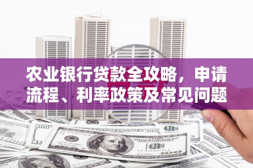 越秀农业银行贷款全攻略，申请流程、利率政策及常见问题解析