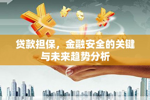 灌阳贷款担保，金融安全的关键与未来趋势分析