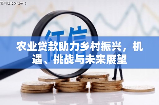 宣汉农业贷款助力乡村振兴，机遇、挑战与未来展望