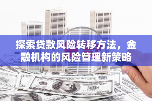 冕宁探索贷款风险转移方法，金融机构的风险管理新策略