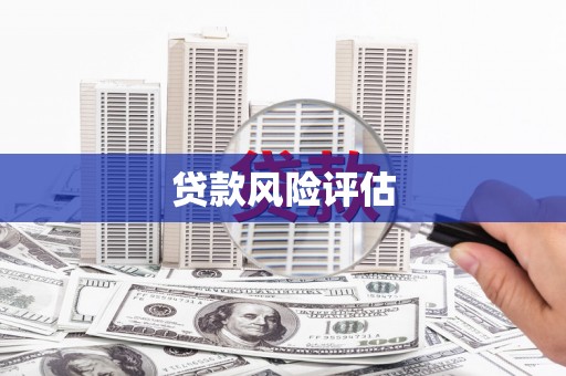 两当贷款风险评估