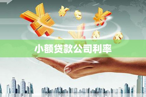 营口小额贷款公司利率