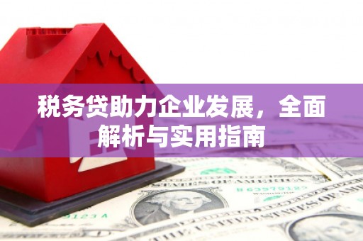 武汉税务贷助力企业发展，全面解析与实用指南