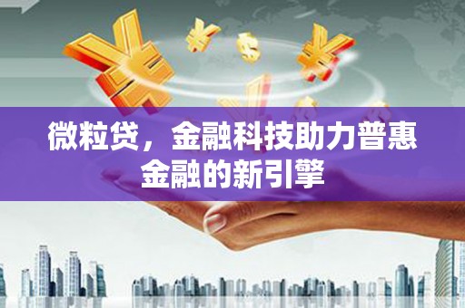 虞城微粒贷，金融科技助力普惠金融的新引擎