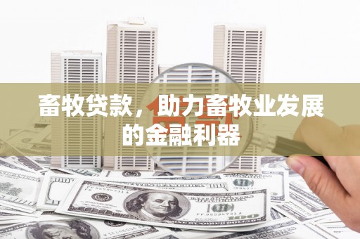 嘉荫畜牧贷款，助力畜牧业发展的金融利器