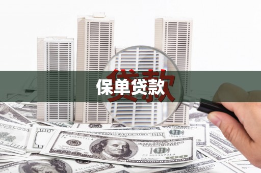 西陵保单贷款