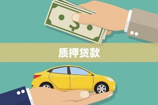 渭源质押贷款