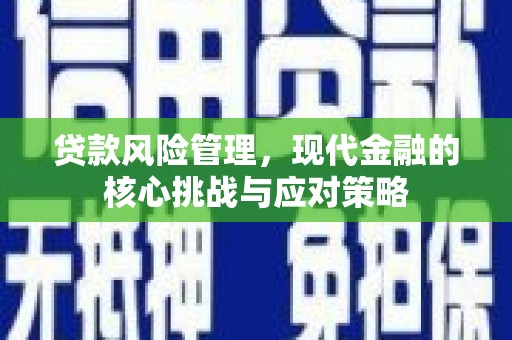 贞丰贷款风险管理，现代金融的核心挑战与应对策略