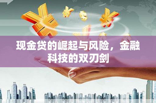 宁明现金贷的崛起与风险，金融科技的双刃剑