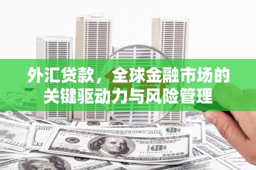 延平外汇贷款，全球金融市场的关键驱动力与风险管理