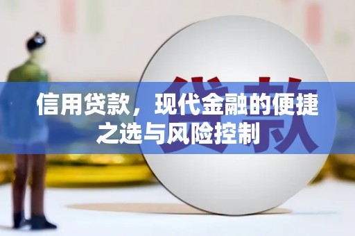 光泽信用贷款，现代金融的便捷之选与风险控制