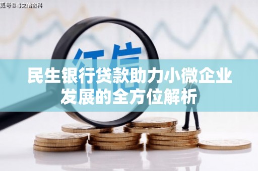 琼中民生银行贷款助力小微企业发展的全方位解析