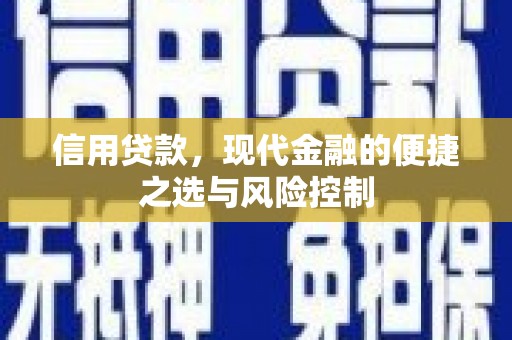 太子河信用贷款，现代金融的便捷之选与风险控制
