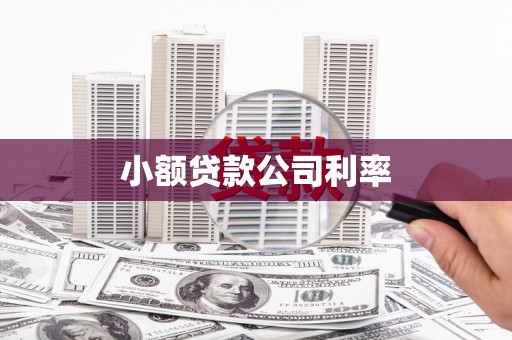 昔阳小额贷款公司利率