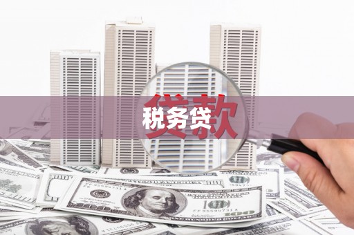 嵩县税务贷