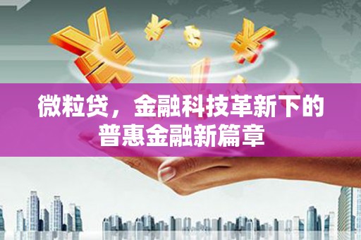 美兰微粒贷，金融科技革新下的普惠金融新篇章