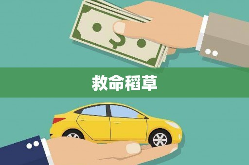 洋县救命稻草