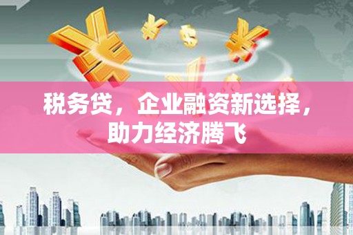 泽普税务贷，企业融资新选择，助力经济腾飞