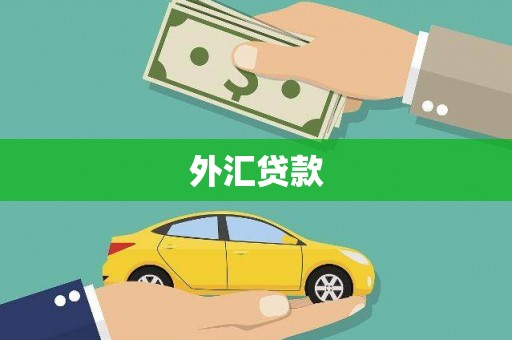 龙陵外汇贷款