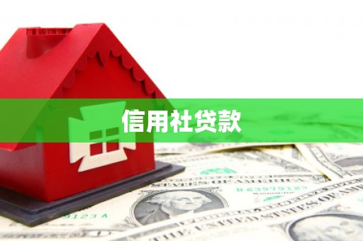马公信用社贷款