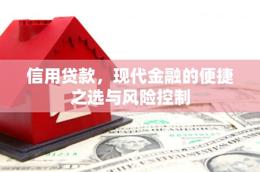 新建信用贷款，现代金融的便捷之选与风险控制
