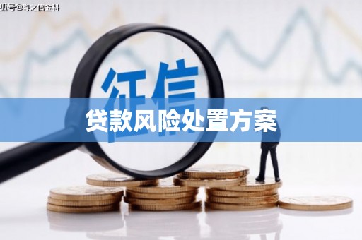 丹寨贷款风险处置方案