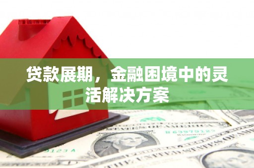 隆子贷款展期，金融困境中的灵活解决方案