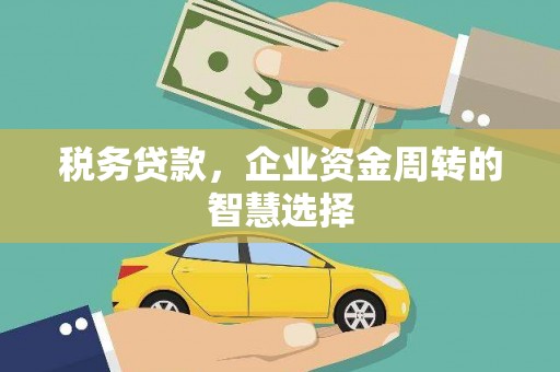 保税港区税务贷款，企业资金周转的智慧选择