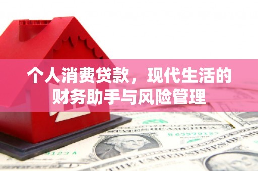 铜梁个人消费贷款，现代生活的财务助手与风险管理
