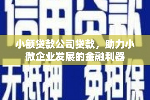 沂源小额贷款公司贷款，助力小微企业发展的金融利器