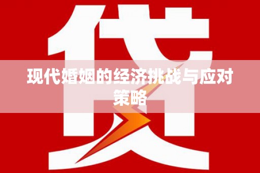 盐水现代婚姻的经济挑战与应对策略