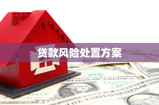 宜宾贷款风险处置方案