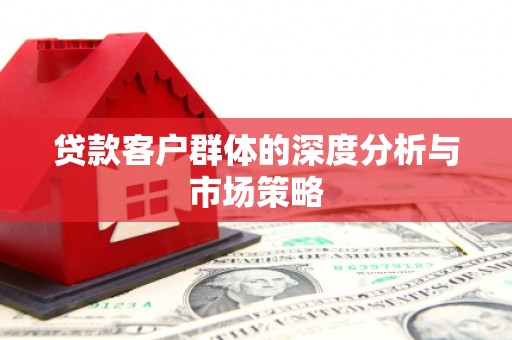 六龟贷款客户群体的深度分析与市场策略