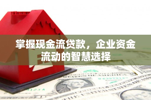 茂林掌握现金流贷款，企业资金流动的智慧选择