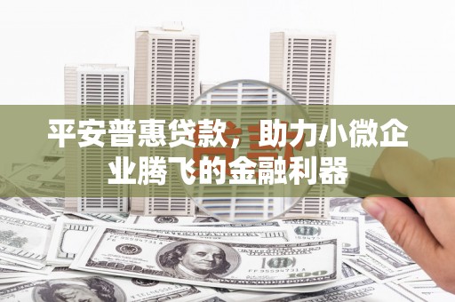 巴州平安普惠贷款，助力小微企业腾飞的金融利器