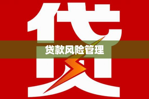 新都贷款风险管理