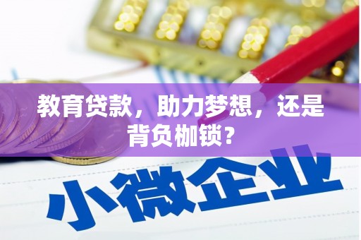 天等教育贷款，助力梦想，还是背负枷锁？