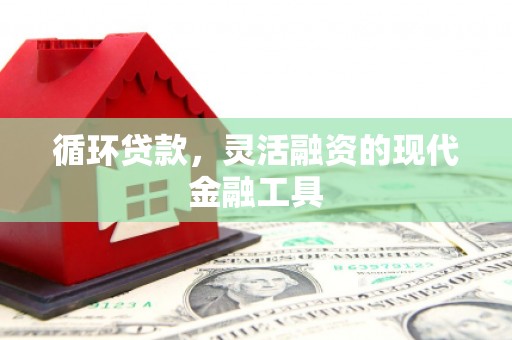 松原循环贷款，灵活融资的现代金融工具