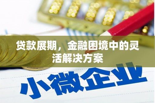 新埤贷款展期，金融困境中的灵活解决方案