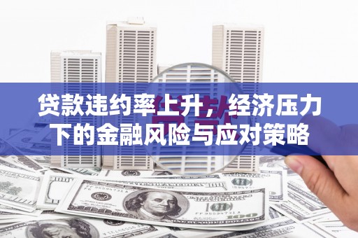 合浦贷款违约率上升，经济压力下的金融风险与应对策略