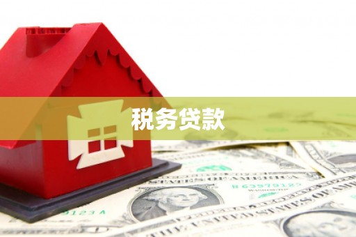 南城税务贷款