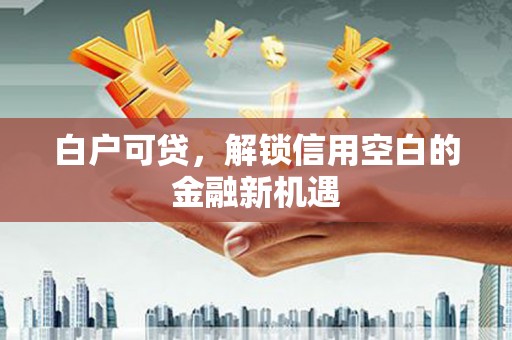 香港岛白户可贷，解锁信用空白的金融新机遇