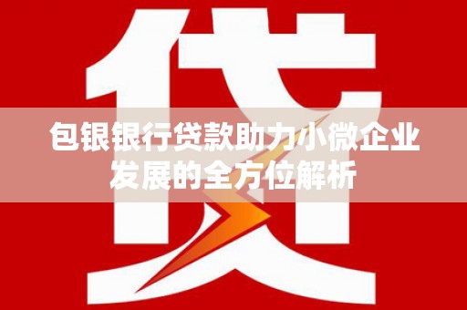 天桥包银银行贷款助力小微企业发展的全方位解析