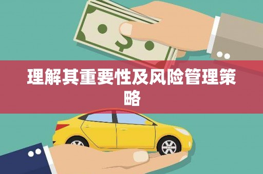 龙崎理解其重要性及风险管理策略