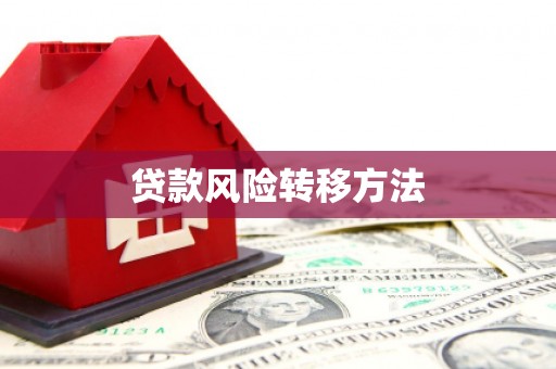 柯坪贷款风险转移方法