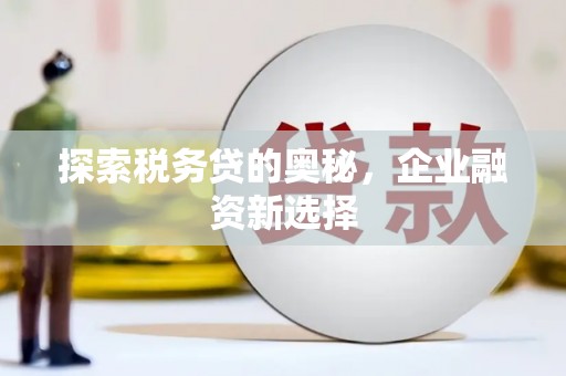 新埤探索税务贷的奥秘，企业融资新选择