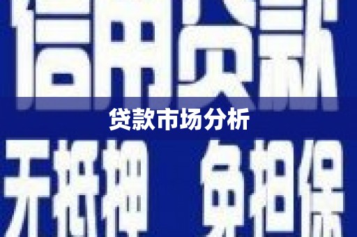 龙川贷款市场分析
