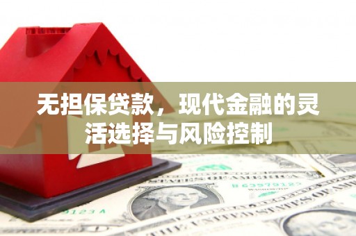 云和无担保贷款，现代金融的灵活选择与风险控制